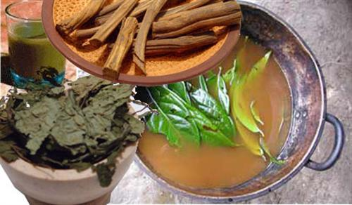 ayahuasca ingredients