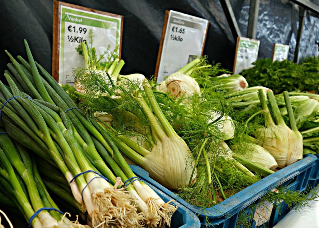 shalott, onion, fennel